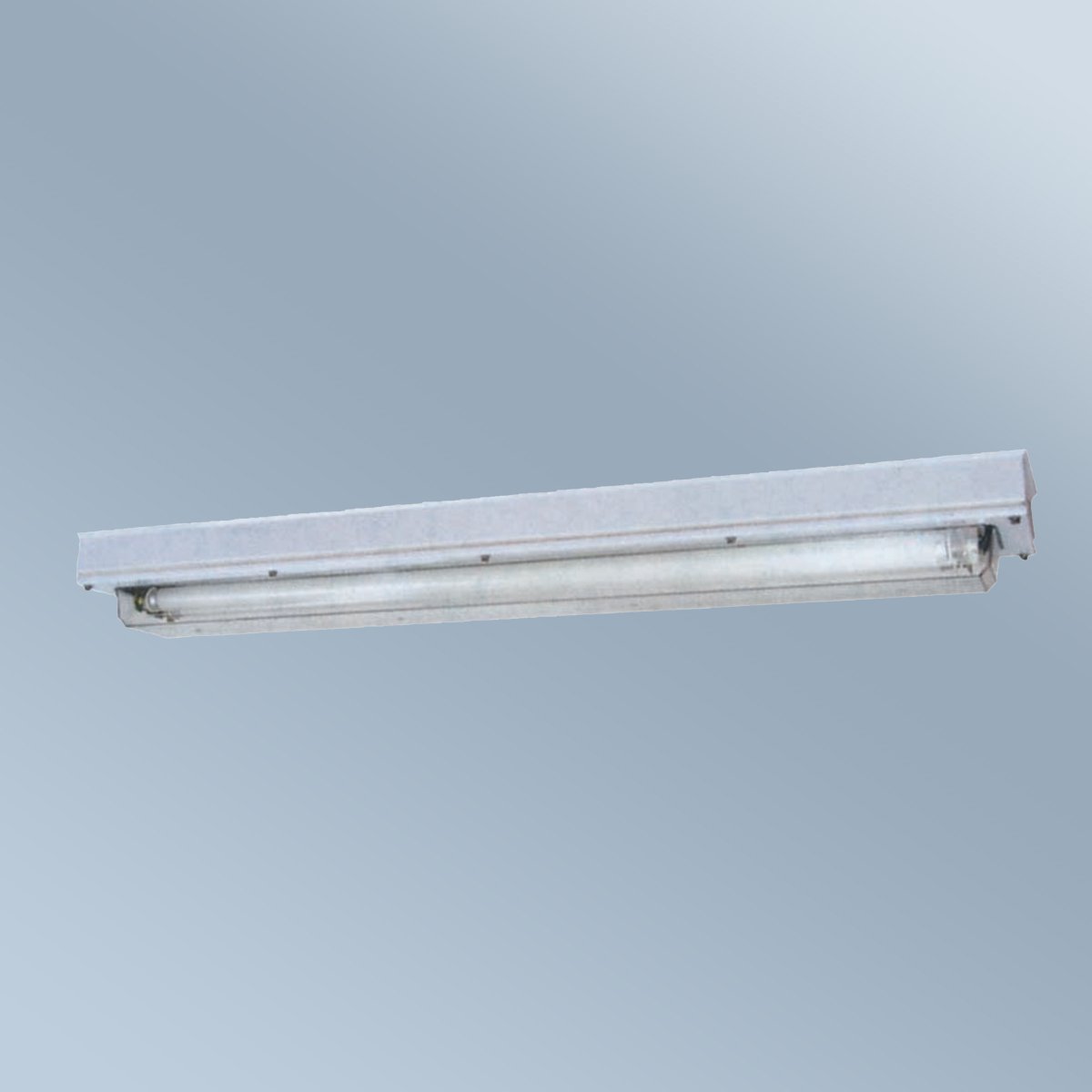 BHY 系列防爆潔凈熒光燈 (ⅡC) BHY 系列防爆潔凈熒光燈 (ⅡC)