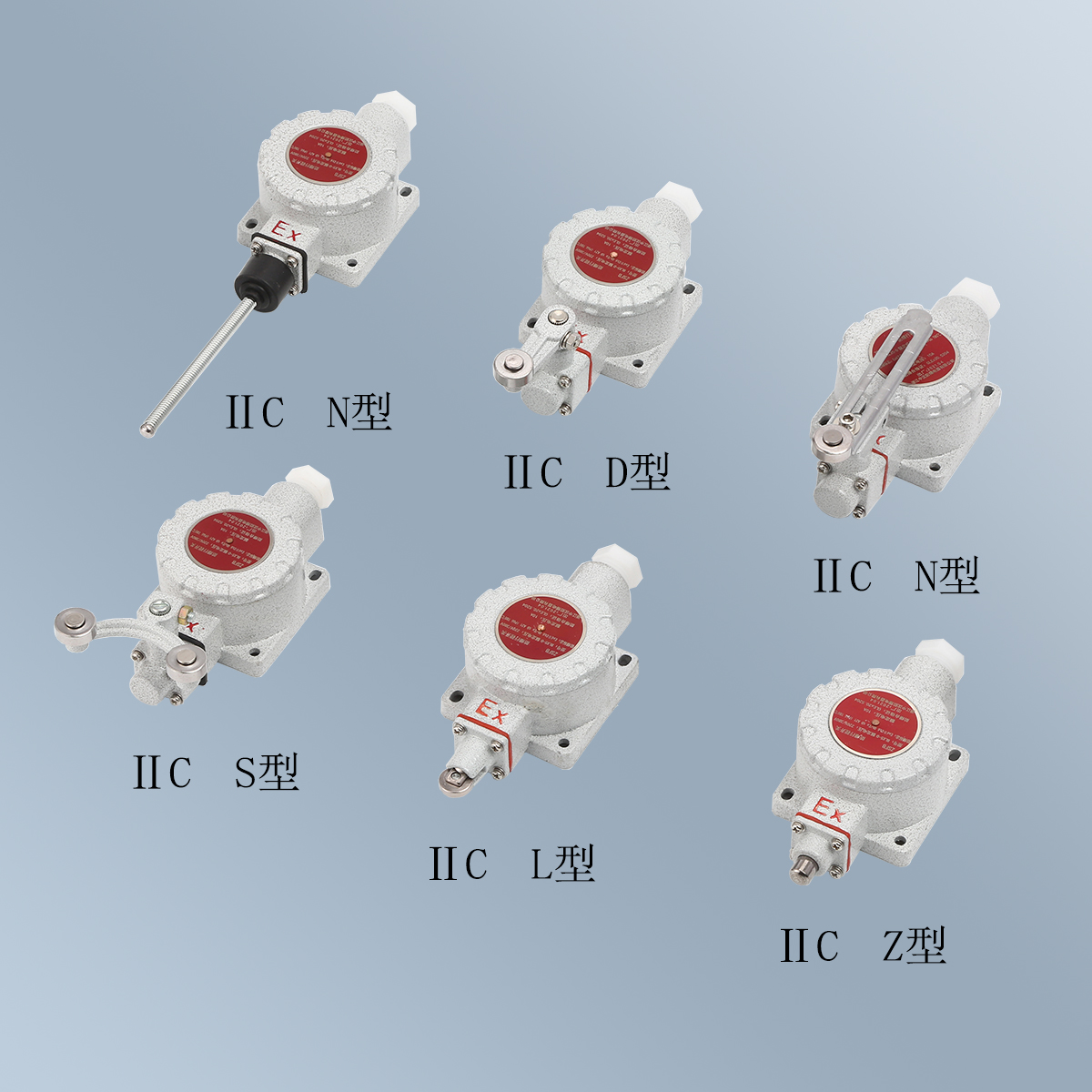 BLX5(BZX51) 系列防爆行程開關 (ⅡC) BLX5(BZX51) 系列防爆行程開關 (ⅡC)