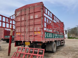 金用護欄2021年4月6日鋅鋼陽臺欄桿發貨！