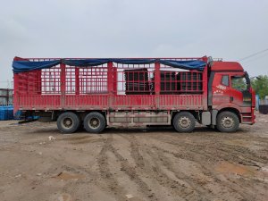 金用護欄2021年4月27日鋅鋼護窗欄桿發(fā)貨！