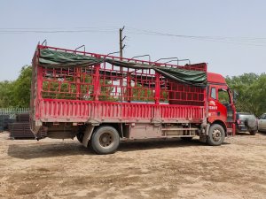 金用護欄2021年4月29日鋅鋼飄窗護欄發(fā)貨！